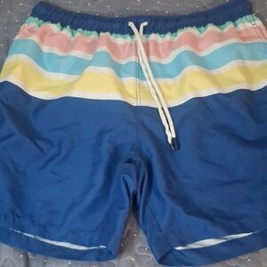 Crown & Ivy Men's Blue Striped Swim Shorts size large